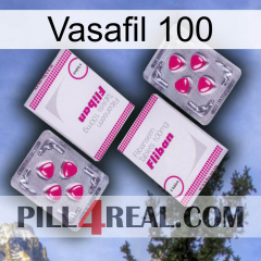 Vasafil 100 33